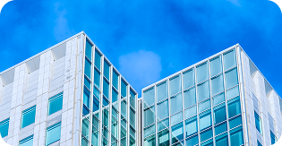 Teleconsultas Especializadas